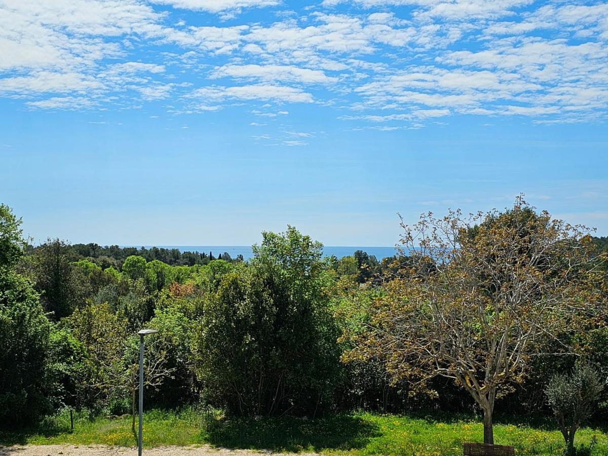 Apartments & Rooms Gaspar Rovinj Dış mekan fotoğraf